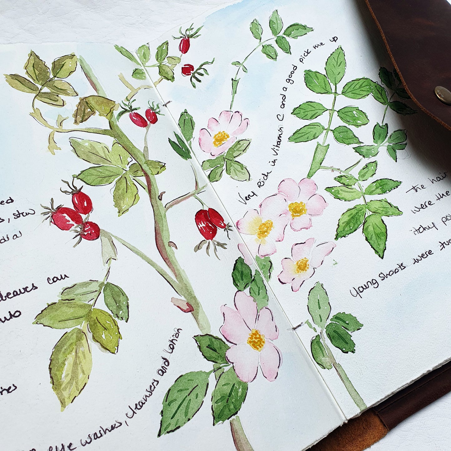 Refillable Art Journal with a Thick Leather Snap Protection - The Wee Bindery (Store description) Sketchbook