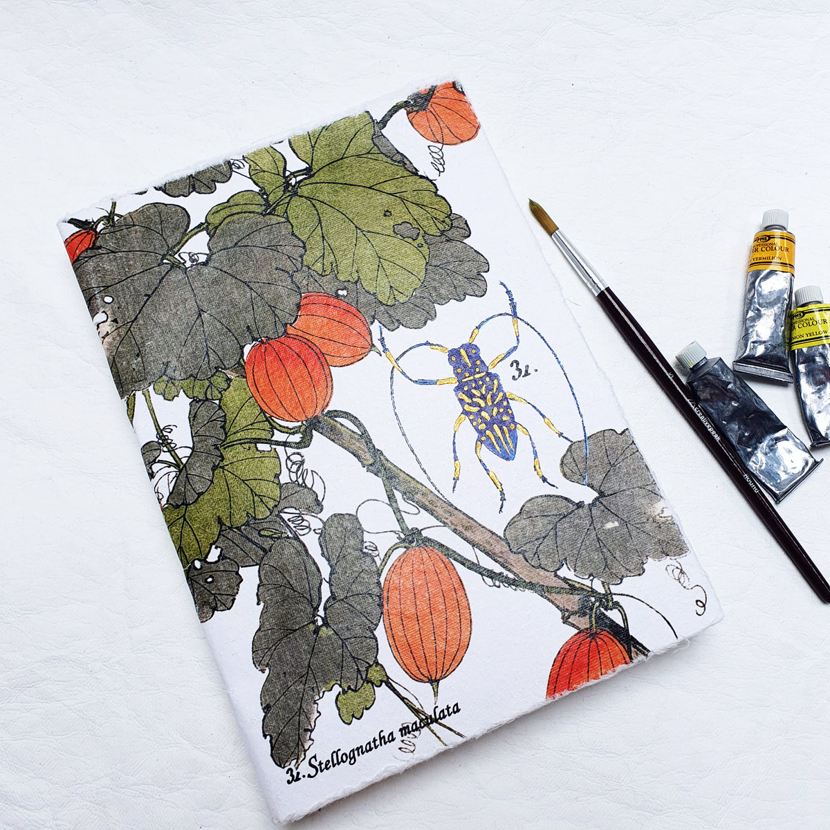 Beetle-Inspired Coptic Watercolour Journal – Deckled Cotton Paper - The Wee Bindery  Sketchbook 