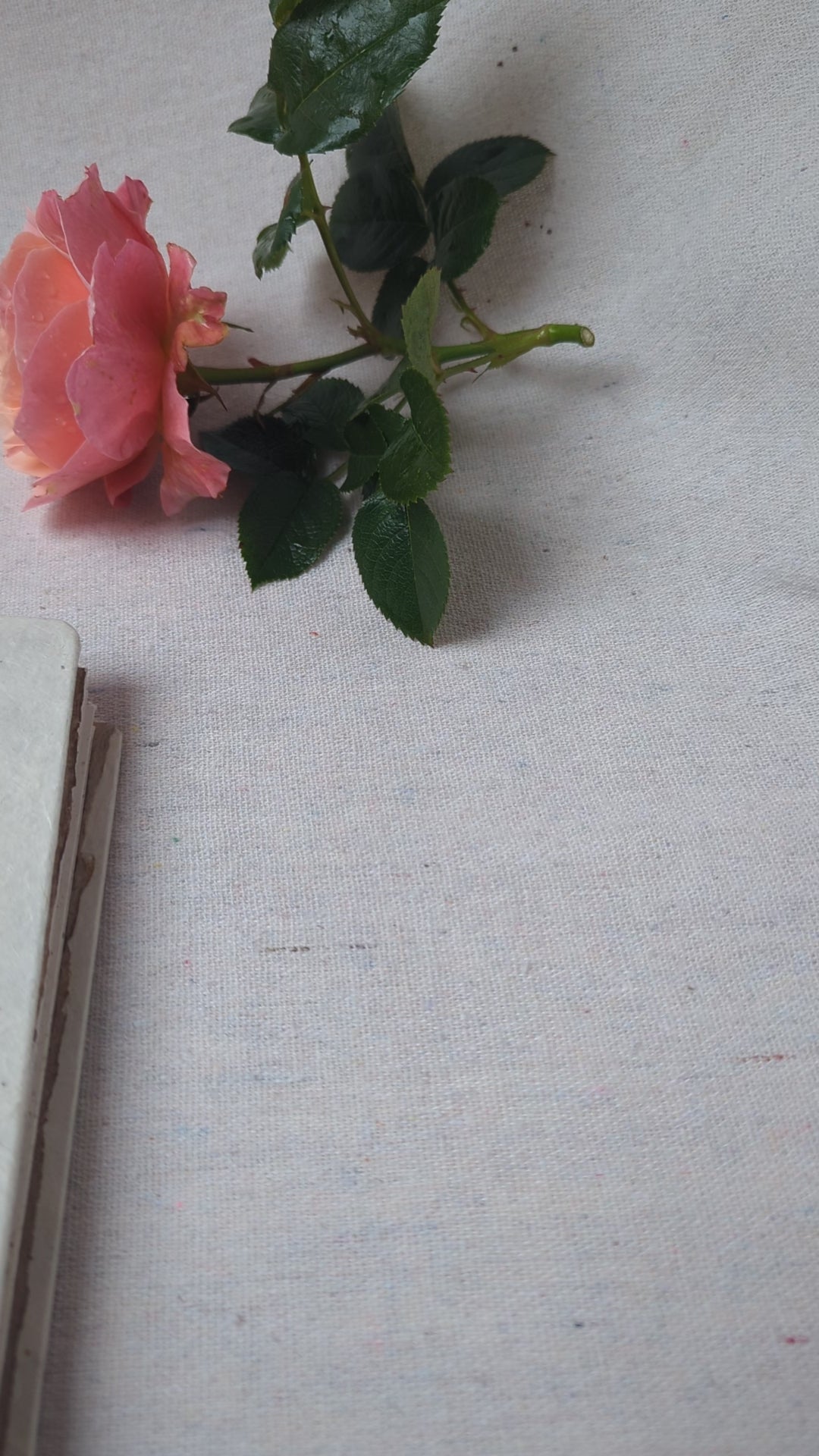 video of the wedding photo album texture and paper