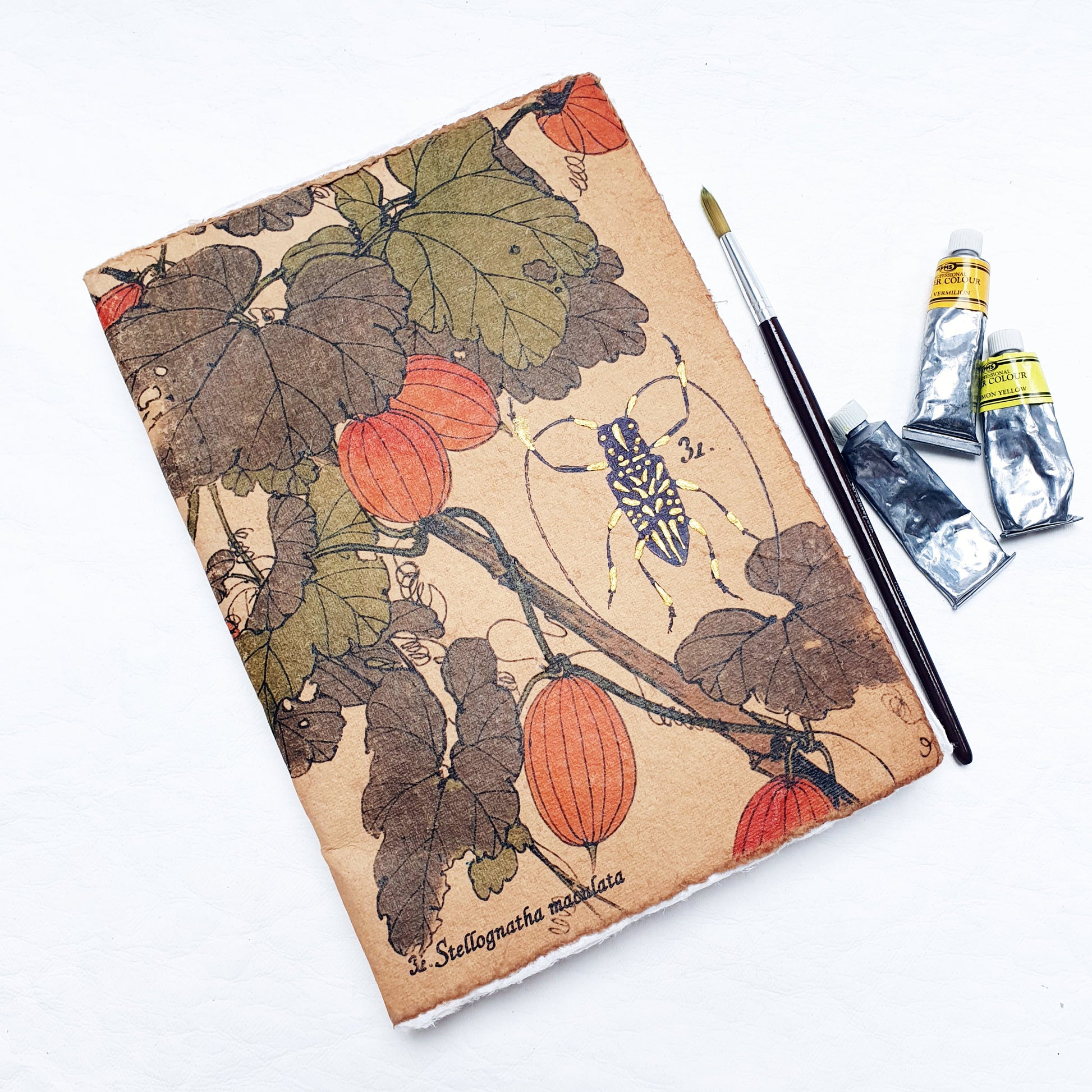 Bug Themed Watercolour Journal with an Exposed Coptic Spine - The Wee Bindery (Store description) Sketchbook 